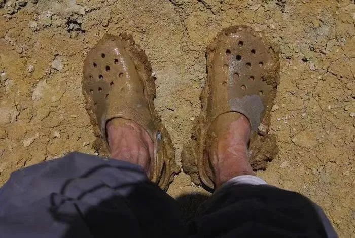 读《北方的空地》：人生才是探险，出世入世，不过一个转身