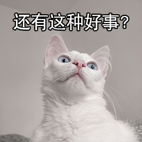 双十一已经过完了吗,双十一终于熬过来了