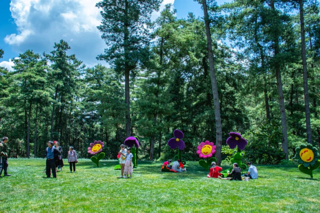 昆明旅游攻略一日游景点推荐理由,昆明旅游景点推荐一日游攻略图