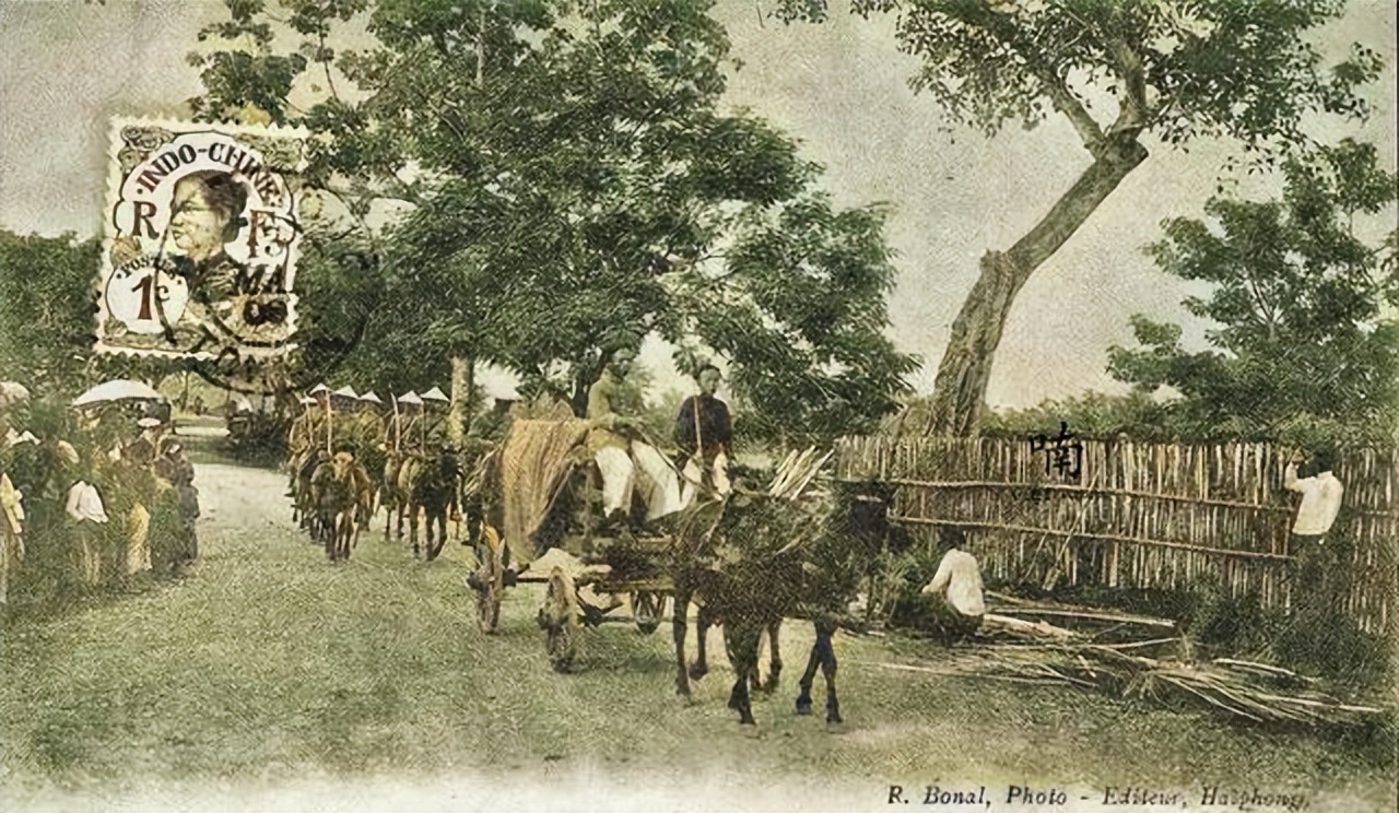 法国殖民者,法国殖民塞内加尔