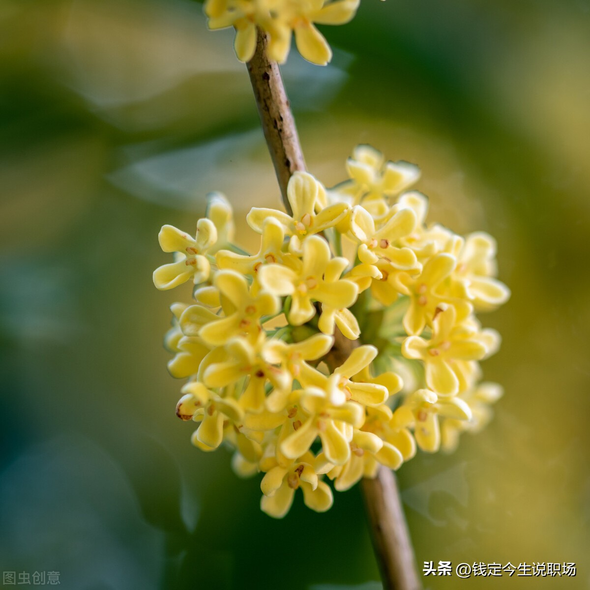 职场做人大气有格局的句子,职场学会隐忍的经典语录