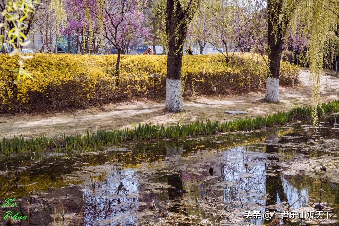 丧家的资本家乏走狗原文,丧家的资本家乏走狗指的是谁