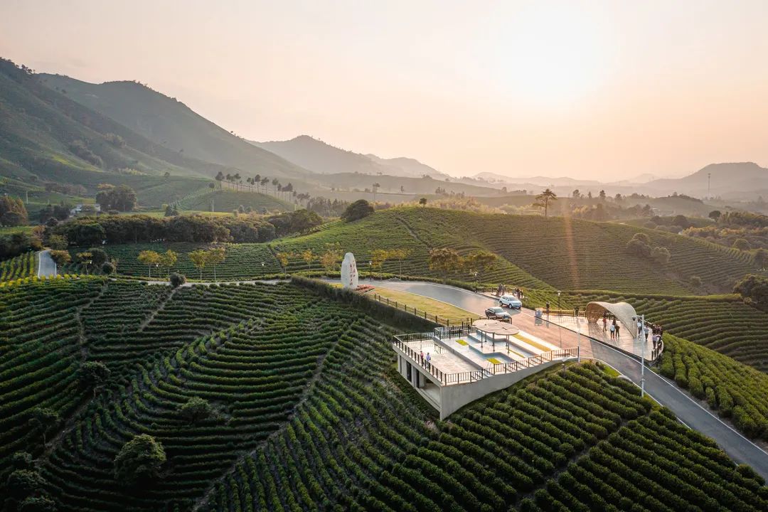 中国茶申遗成功吗,中国茶申遗成功44项名单