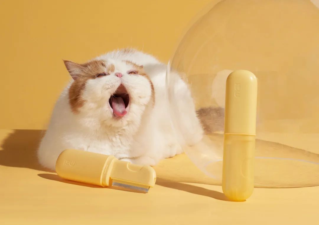 2022年iF设计奖：宠物用品类