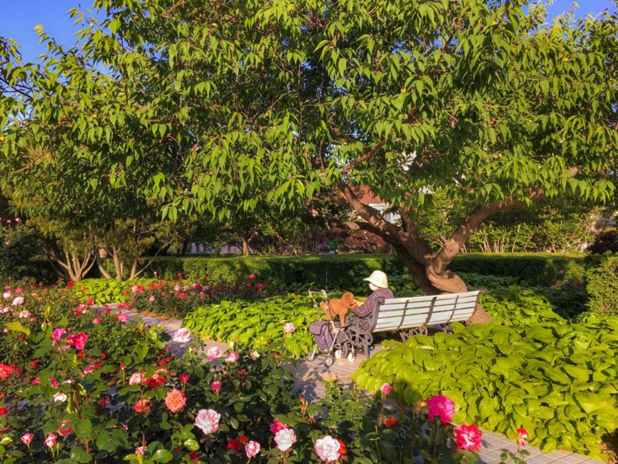 疫情结束后，每个秦皇岛人都想完成的50件小事！