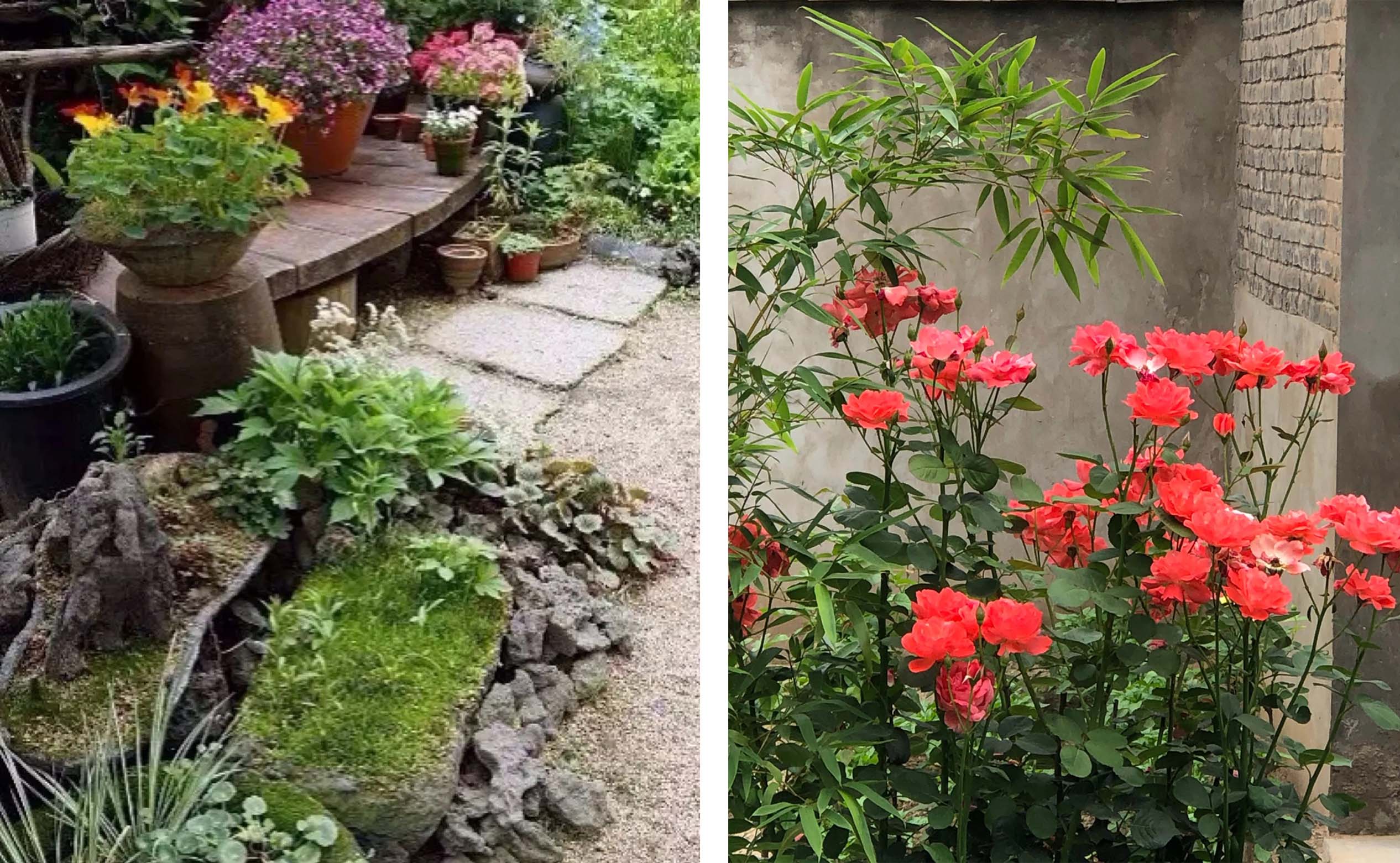 风云四季无余乐，一片痴情寄绿园，哪些往事让养花大叔最常追忆？