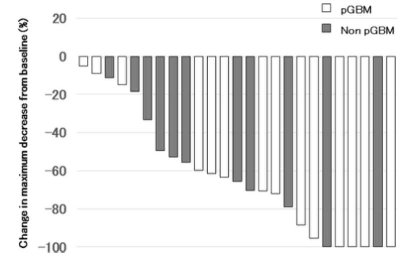 硼中子俘获疗法（BNCT）联合贝伐珠单抗治疗复发恶性胶质瘤