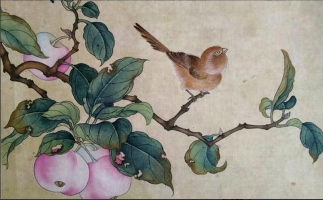 苹果在古代不叫“苹果”，古人取了个很唯美的名字，日本沿用至今