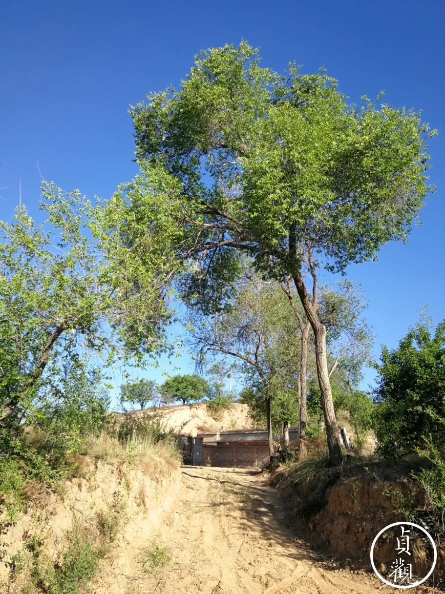 农村父母给女儿盖房,农村父母建的自建房给儿子