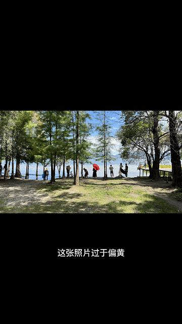 最好用的修图软件手机,修图超好看的神仙app