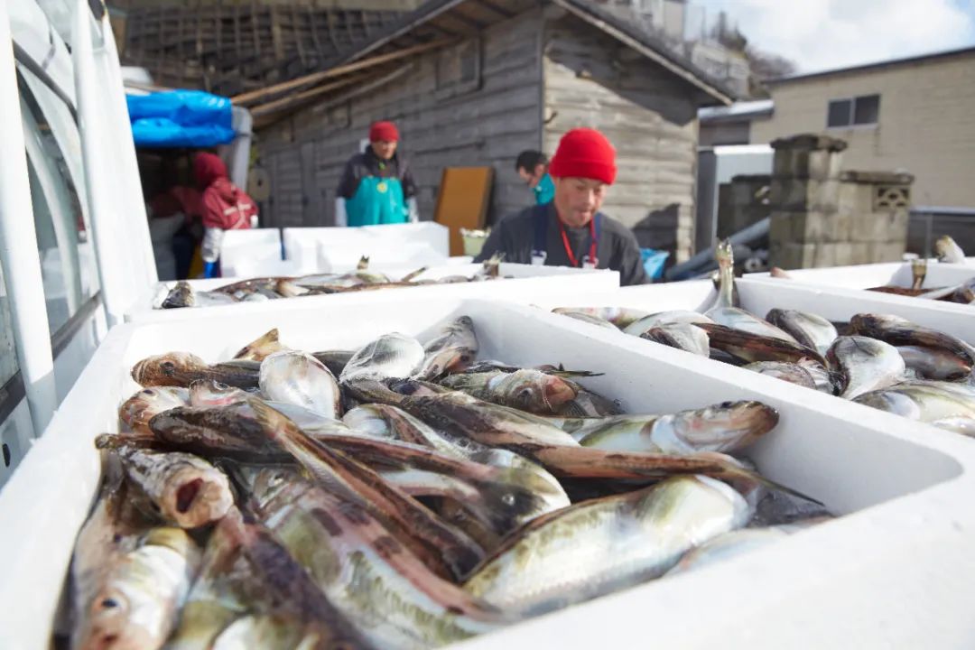 餐饮业遭疫情打击的案例,广西百色抗疫人员偷吃泡面被罚
