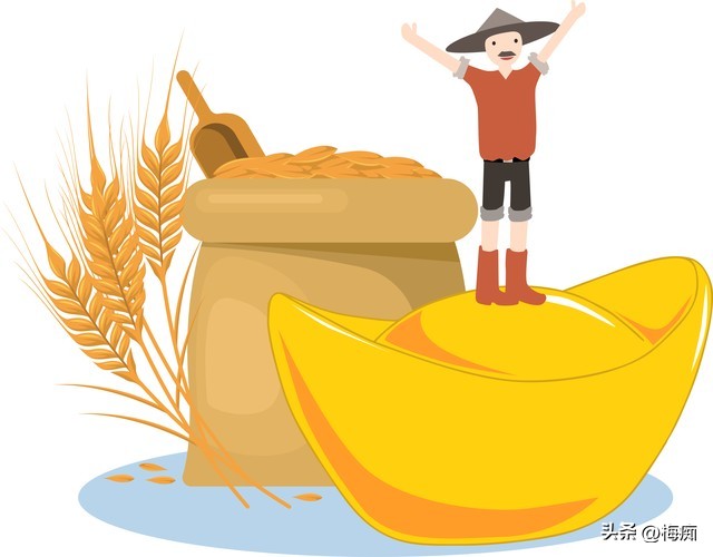 苏北农业补贴2020粮食补贴,农村种植大户粮食补贴每年都补吗