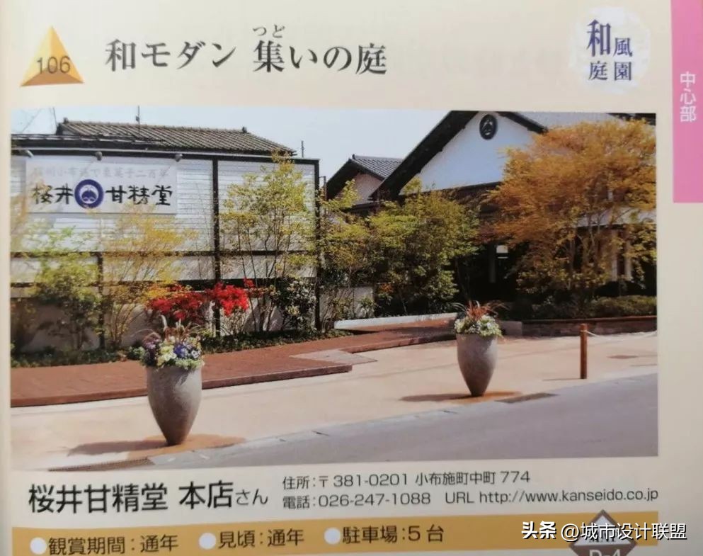 乡村振兴和乡村治理典型经验,乡村治理的发展与创新