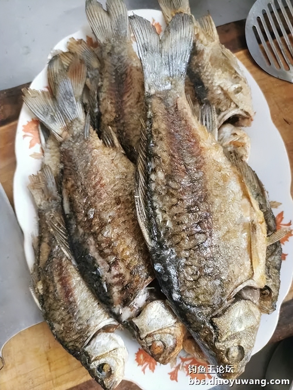 天气变冷怎么钓板鲫,温度升高钓鲢鳙