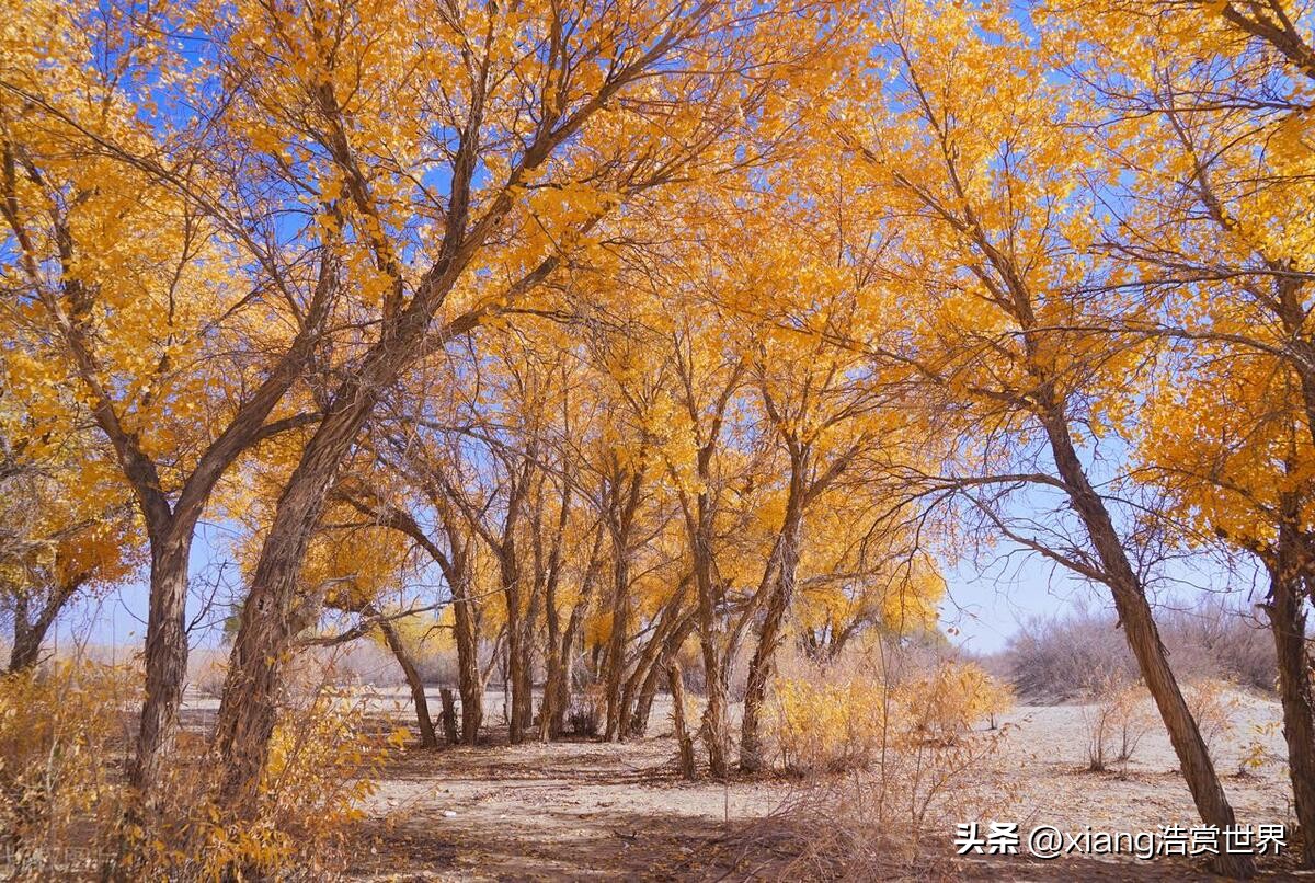 11月份中国最晚天黑的城市,中国最晚见到日出的城市