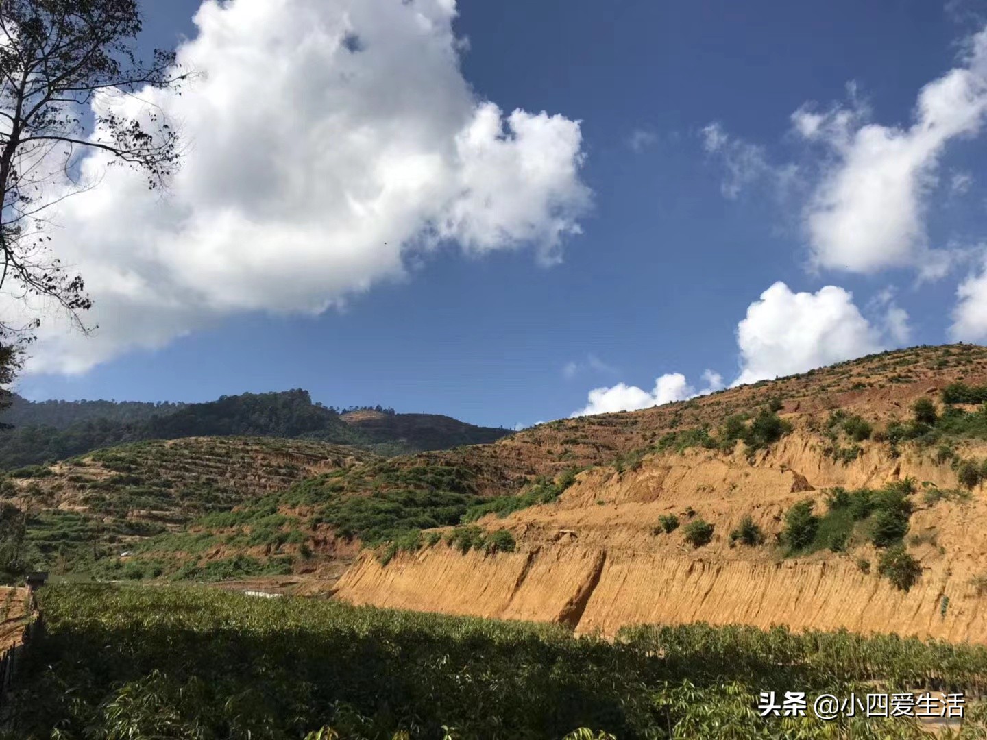 马来西亚旅游团购骗局,马来西亚跟团游骗局