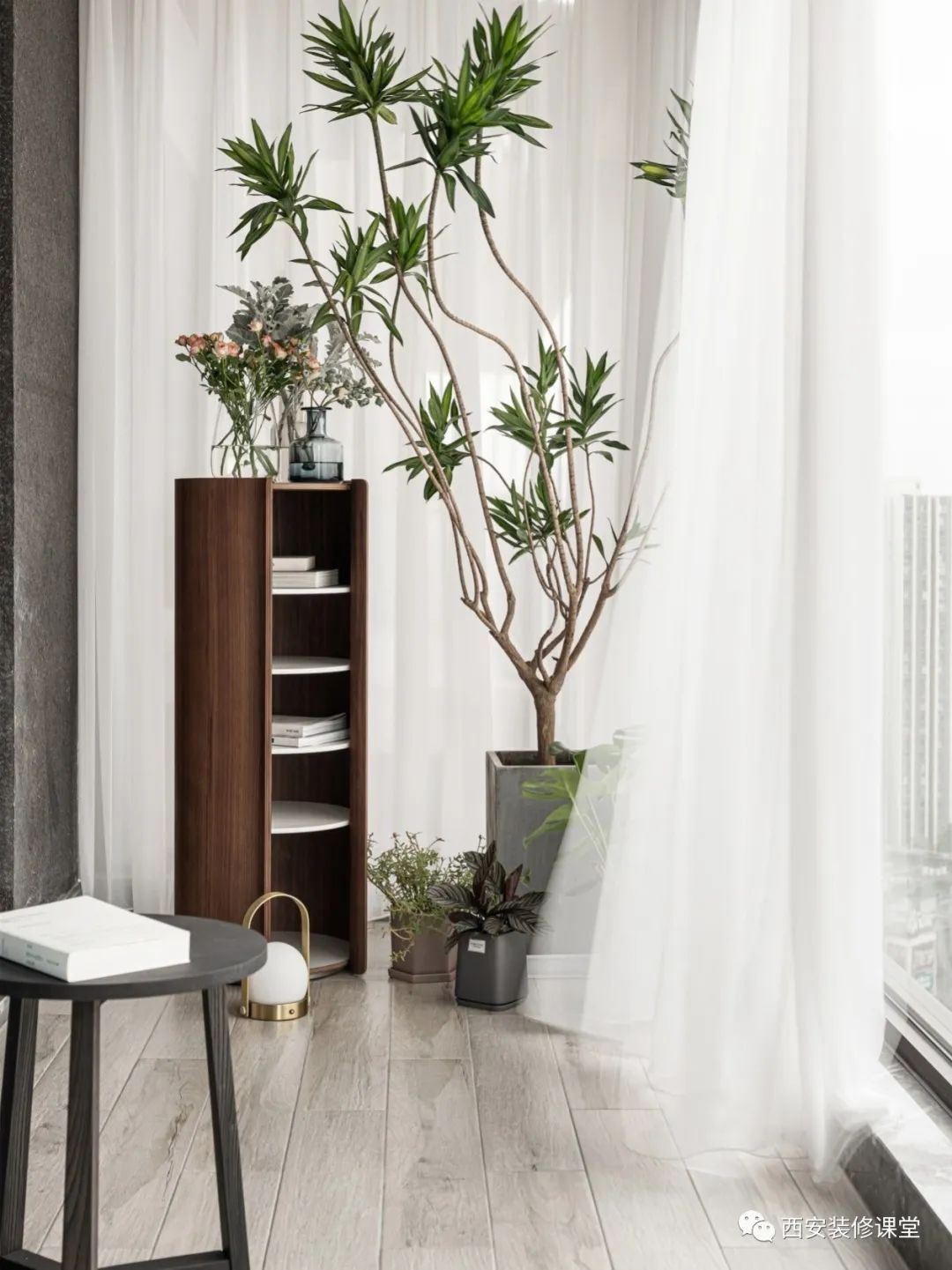 室内绿植软装搭配案例怎么摆,绿植与轻奢结合的软装搭配