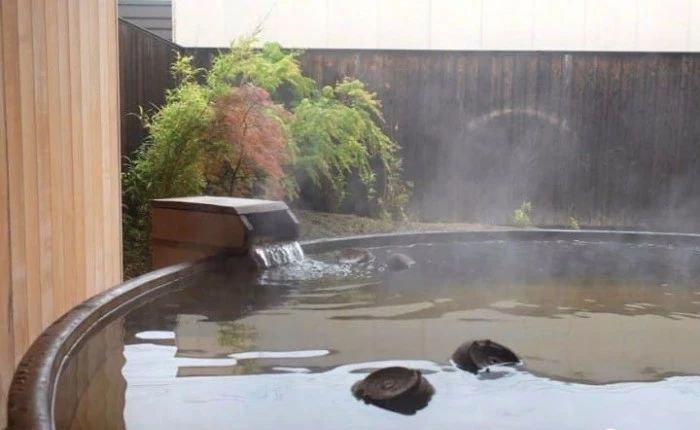 文圣茶说丨日本「界远州」茶文化酒店