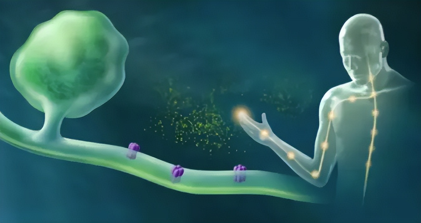 蚊子为什么会有敏锐的嗅觉呢,蚊子反应为什么变快了