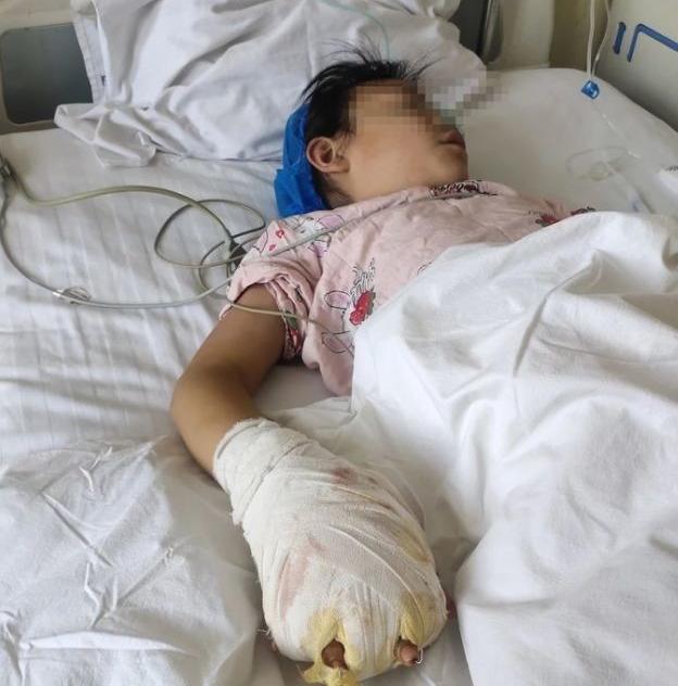 6岁被继母虐待女童事件完整版,六岁女童惨遭继母虐待