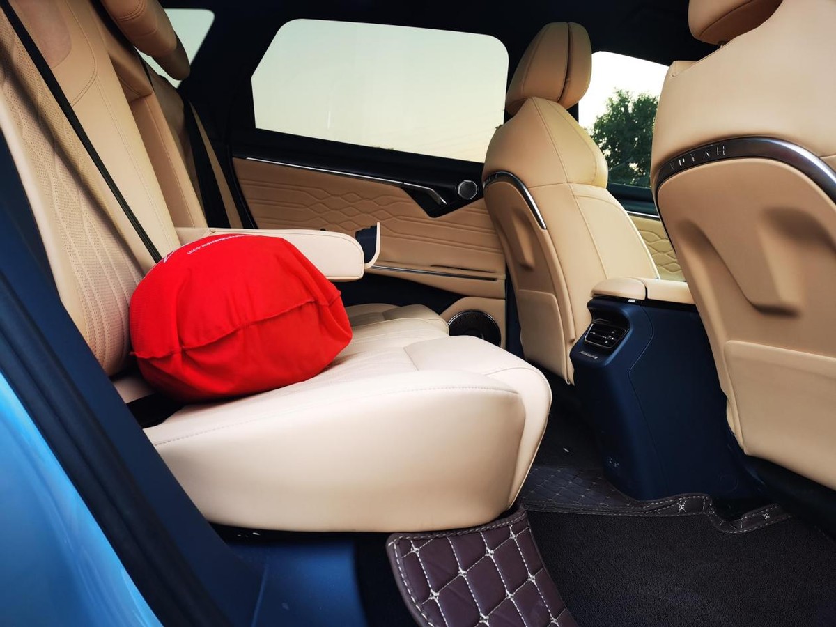 岚图FREE增程豪华版提车作业