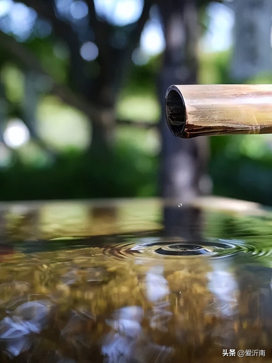 十首绝美夏天诗词大全,微雨过小荷翻榴花开欲然全诗