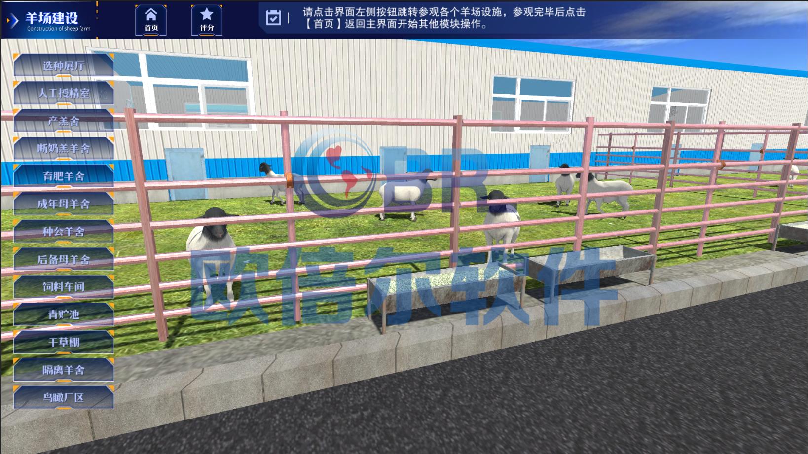 人工智能羊养殖,智慧湖羊养殖模式