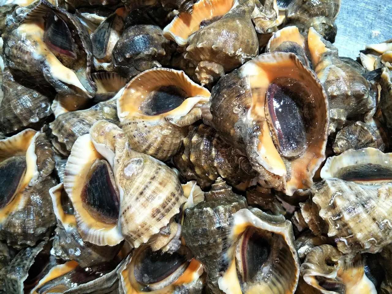 15种海鲜的经典吃法及价格,常见的海鲜正确吃法大全