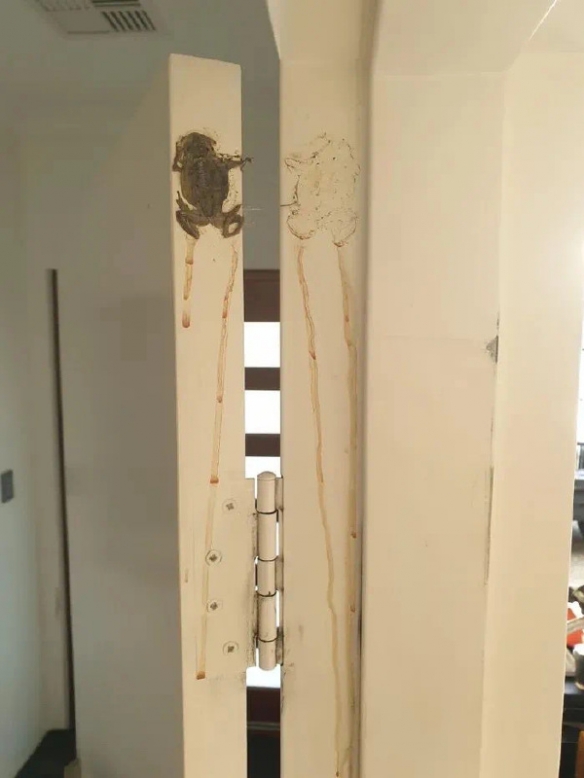 搞笑囧图：质数在生活中有什么作用？没有美女的行业是没有前途的