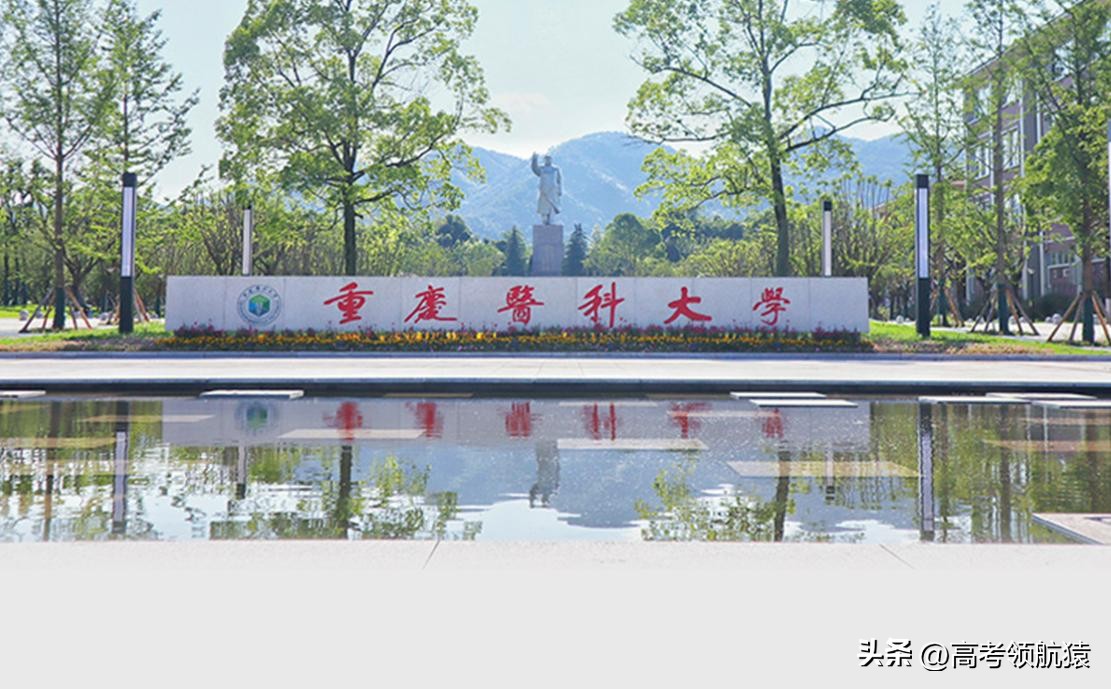 为什么说千万别报重庆医科大学？重庆医科大学算名校吗？