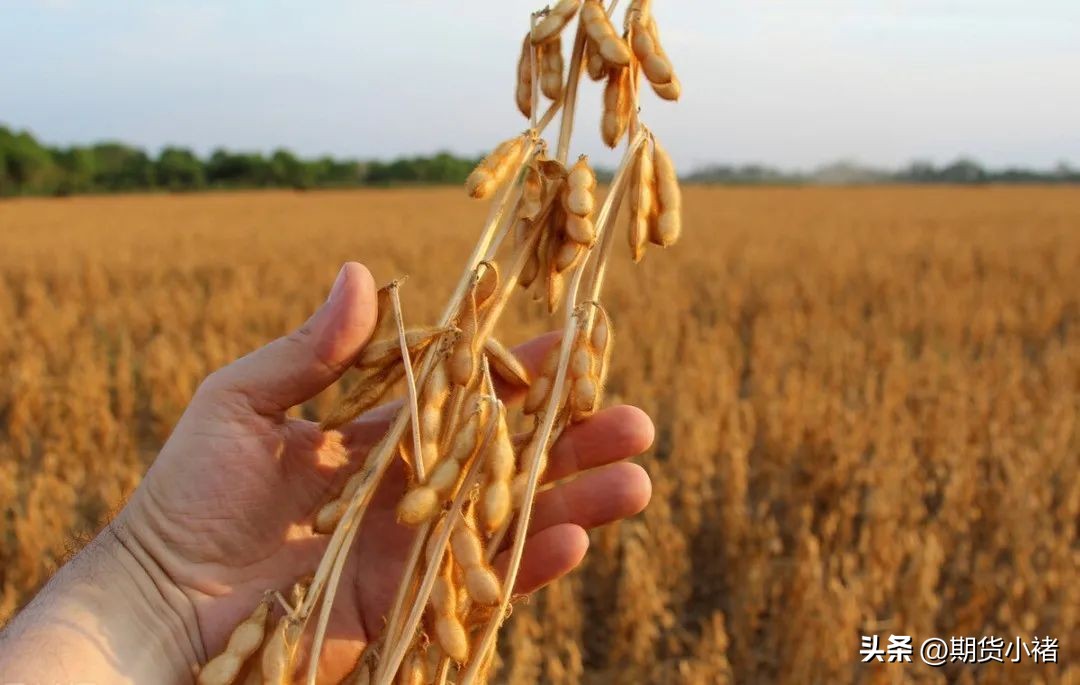 大豆库存下降对大豆价格构成,大豆期货下滑了吗