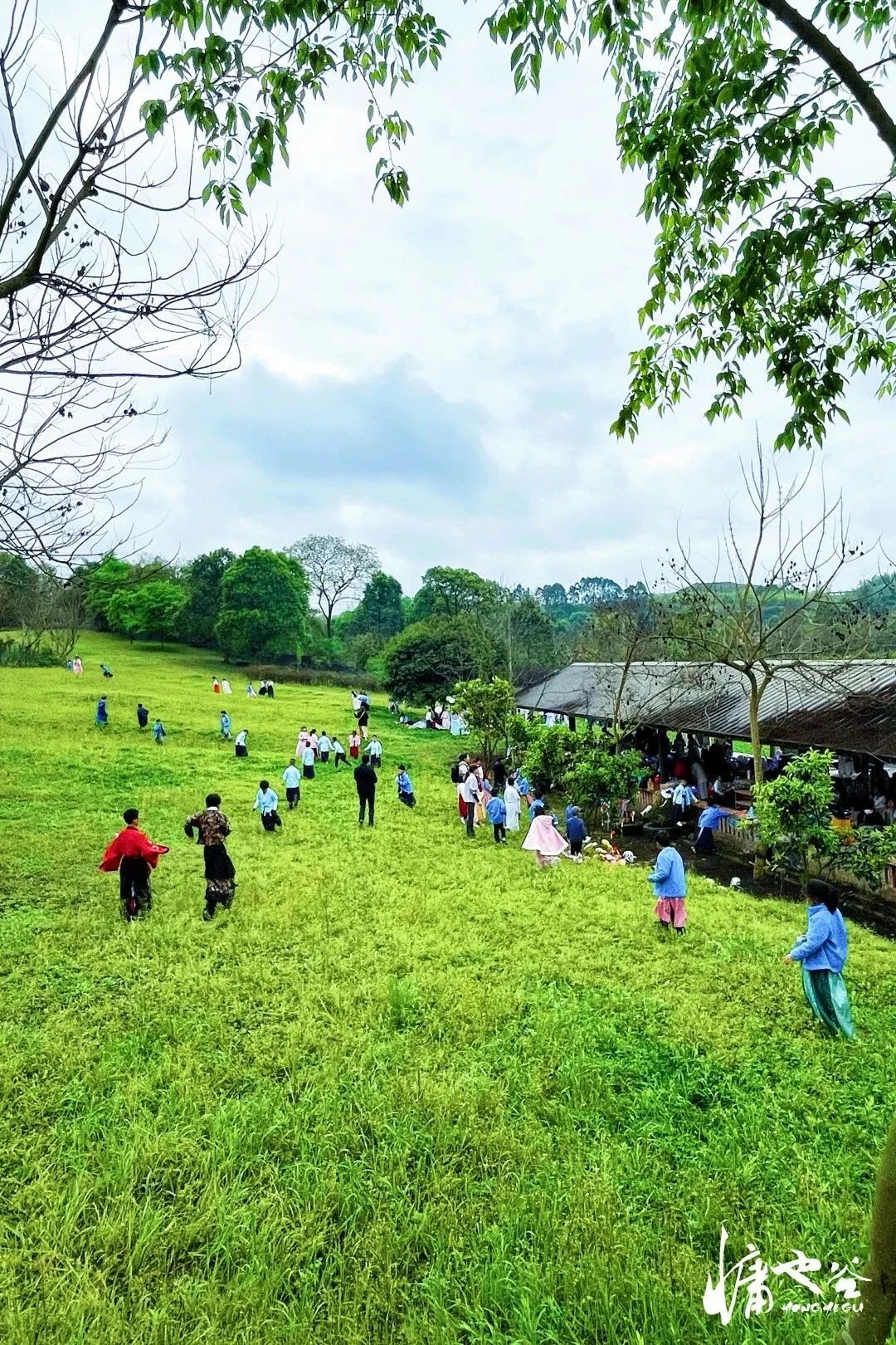 合作共赢！日光域百村振兴计划成渝首发第一村——新津九莲·慵也谷项目招商启动