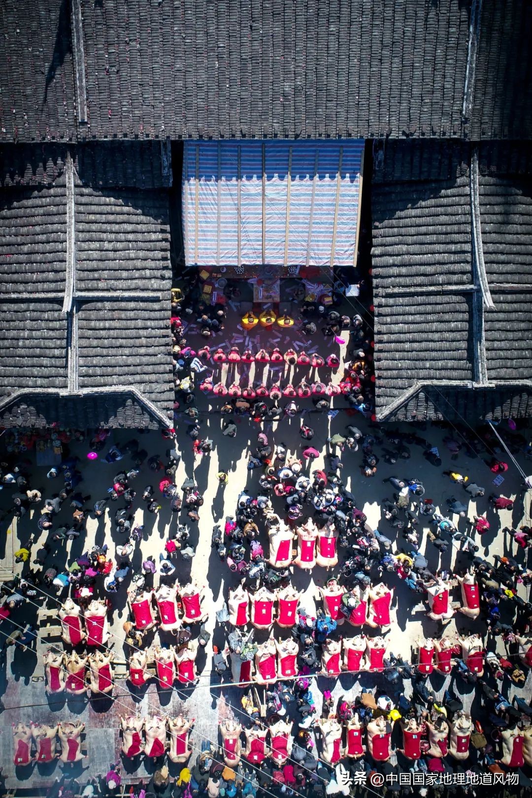 全国各地吃猪图鉴,哪个地方吃的猪最多