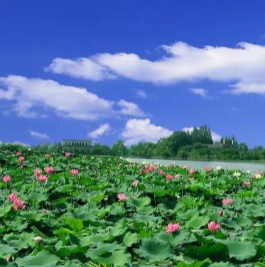 分享期货个人交易系统,期货交易分享