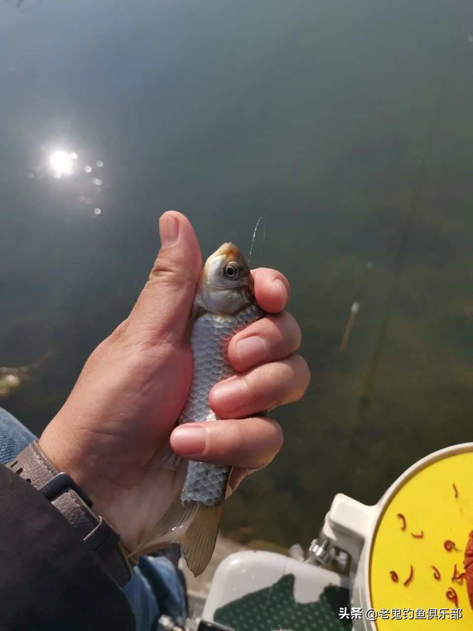 *战野**之王·腥香开春狂拔