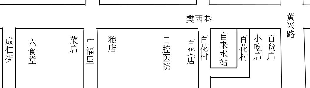 消失的老城街巷,老长沙街区图