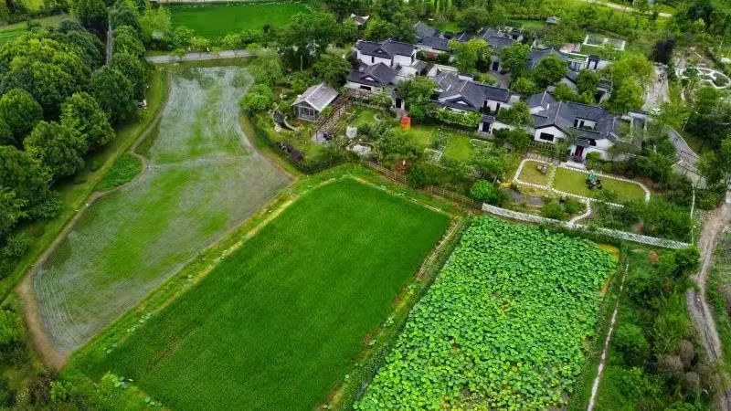 多利桃花源有机农庄,多利桃花源旅行