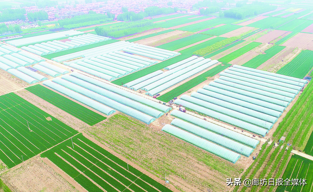 乡村变美产业变强,村美民富和谐