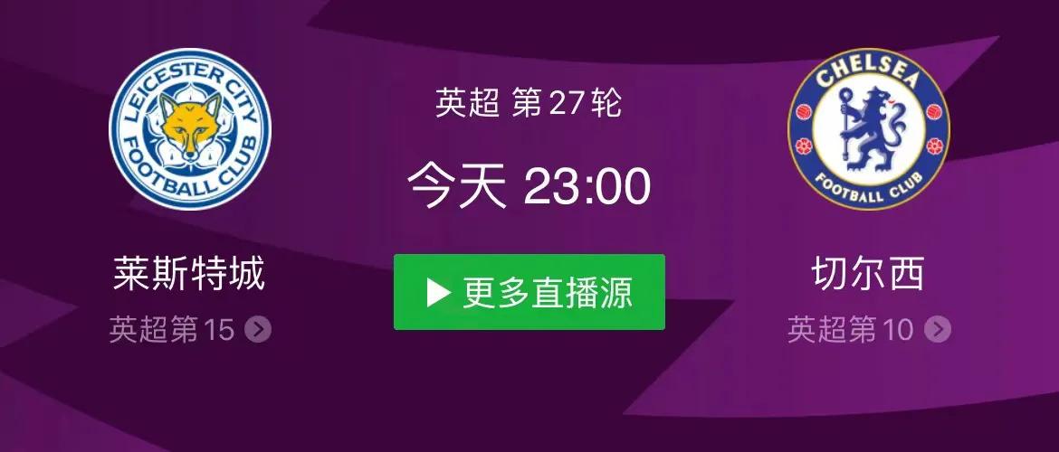 英超莱斯特城负热刺,英超莱斯特城vs利兹联分析
