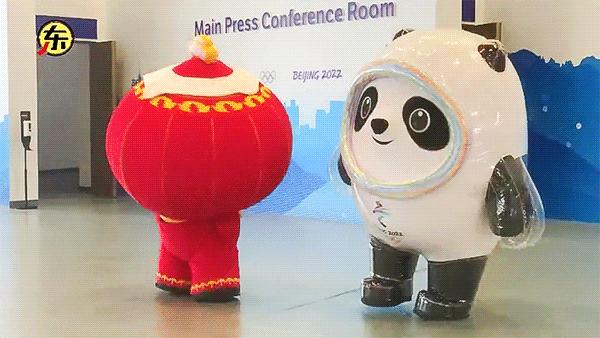 冰墩墩和他的出圈神曲,各种颜色的冰墩墩高清图片