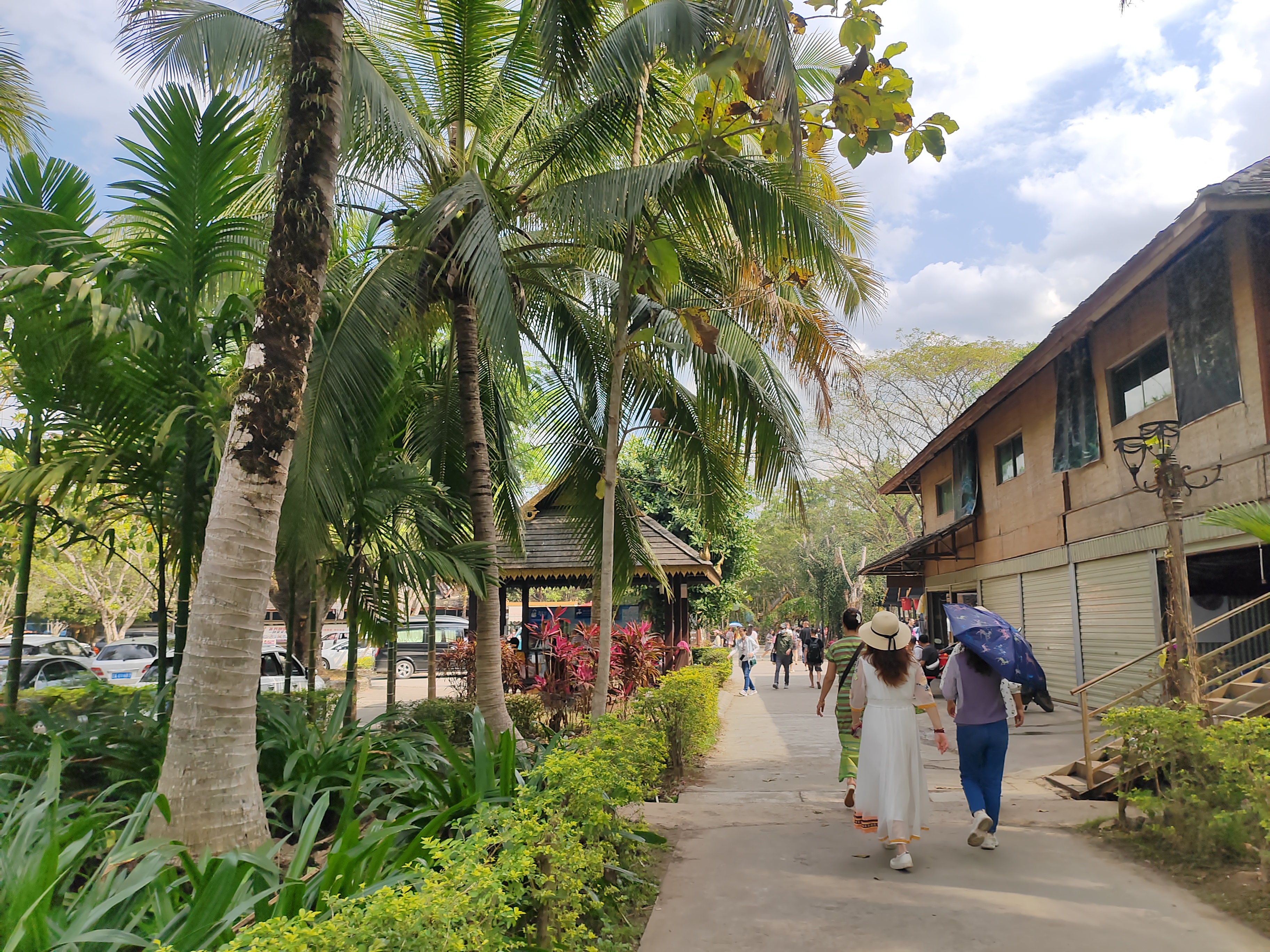 西双版纳傣族村寨和傣族园,西双版纳美丽的傣族园