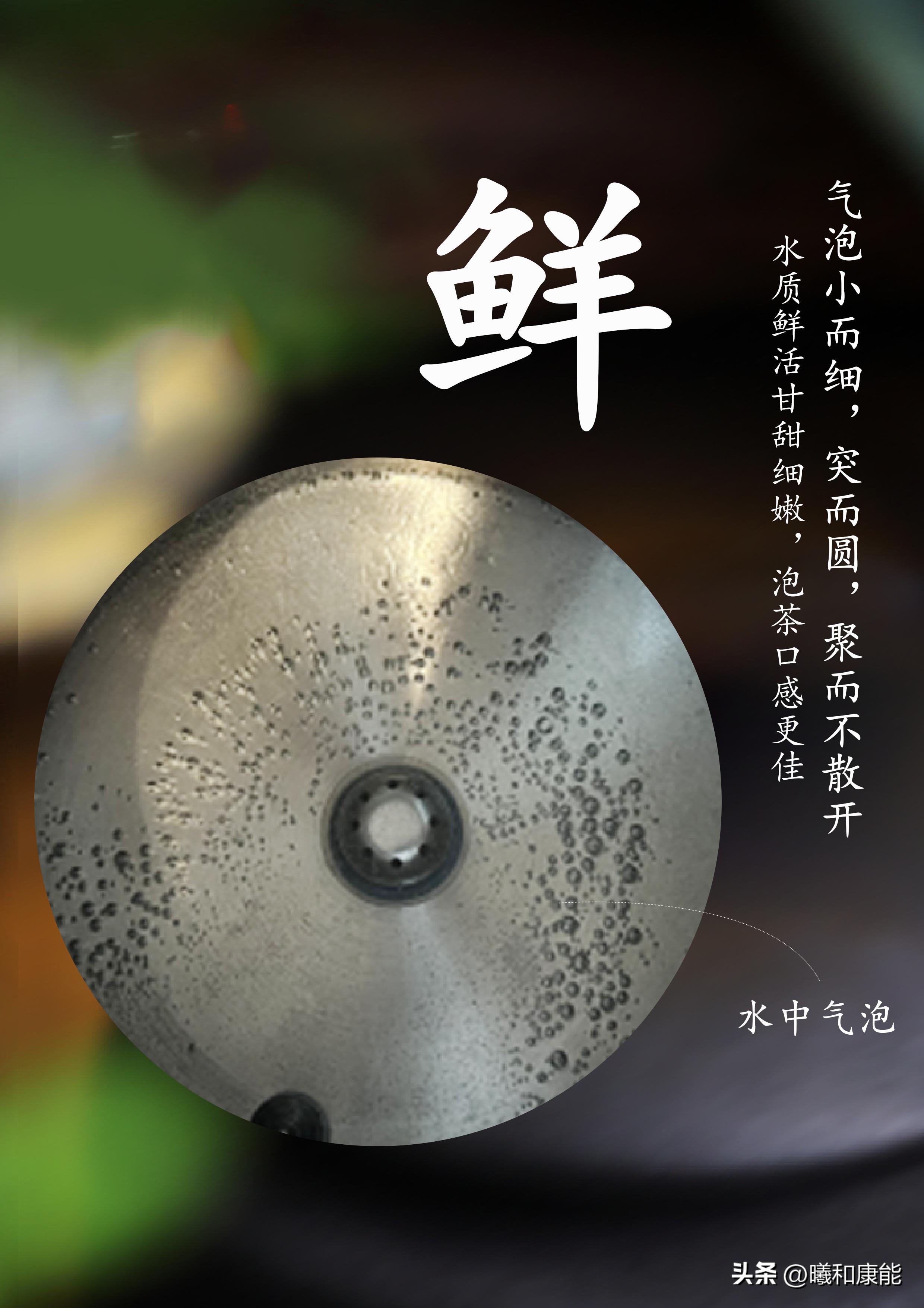 中国电水壶未来发展,电热水壶什么时候出来的