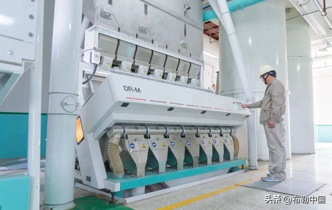 潍坊风筝面粉和香野面粉哪个好,潍坊风筝面粉最新消息