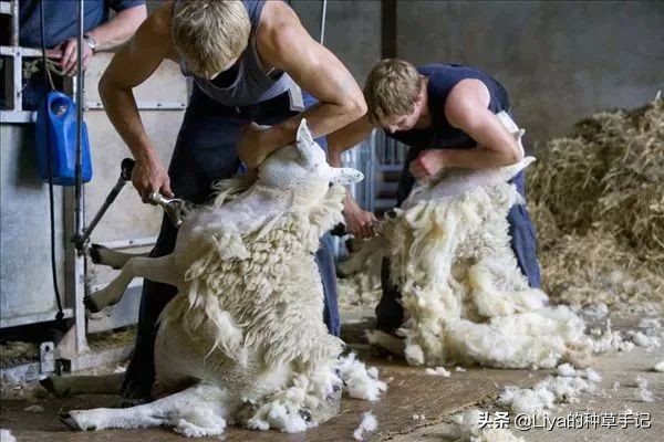 换季穿什么舒适又时髦,冬春换季穿衣搭配