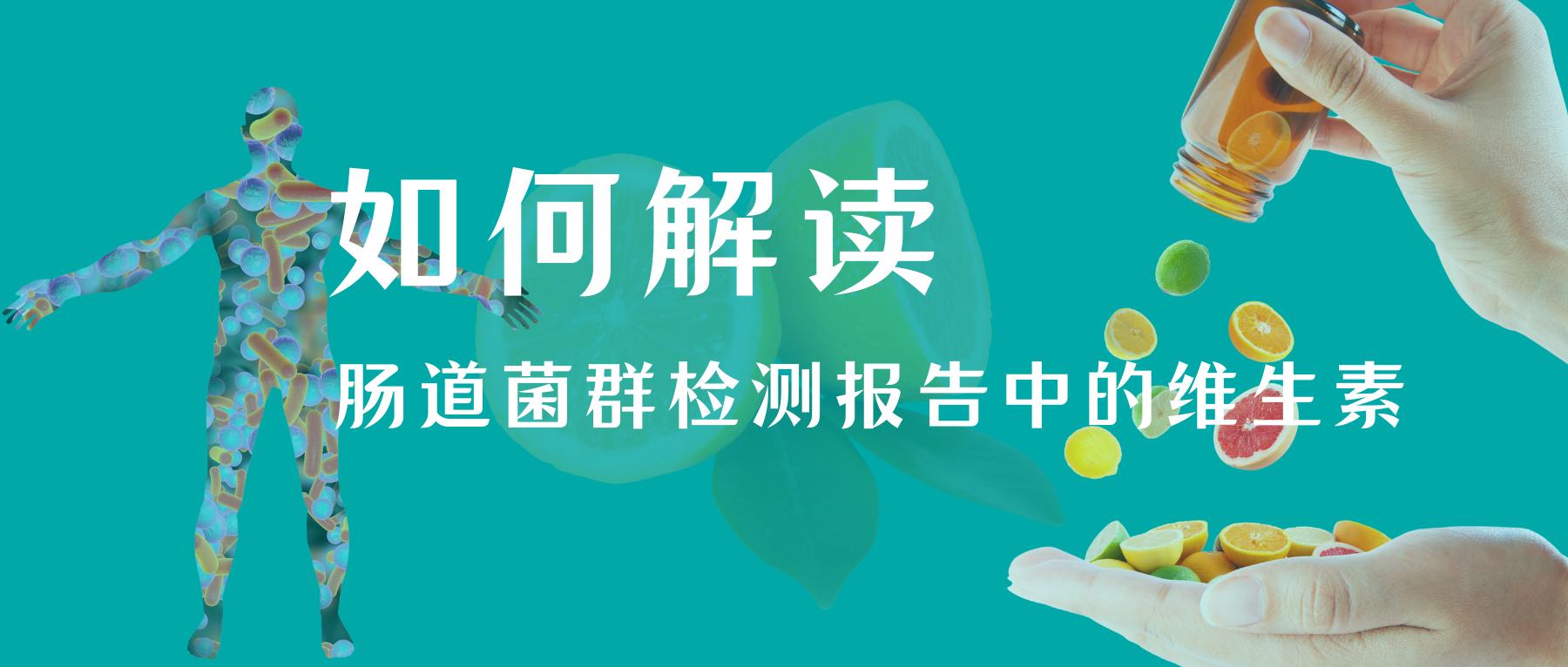 如何解读肠道菌群检测报告中的维生素指标？