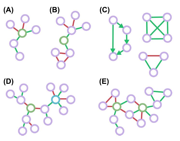 FEMS综述：如何从微生物网络中的“毛线球”理出头绪