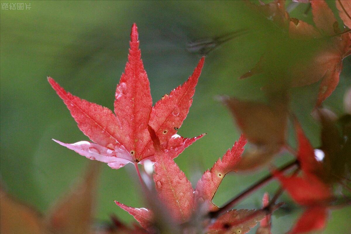 商界大佬的创业故事,100个商业大佬创业故事