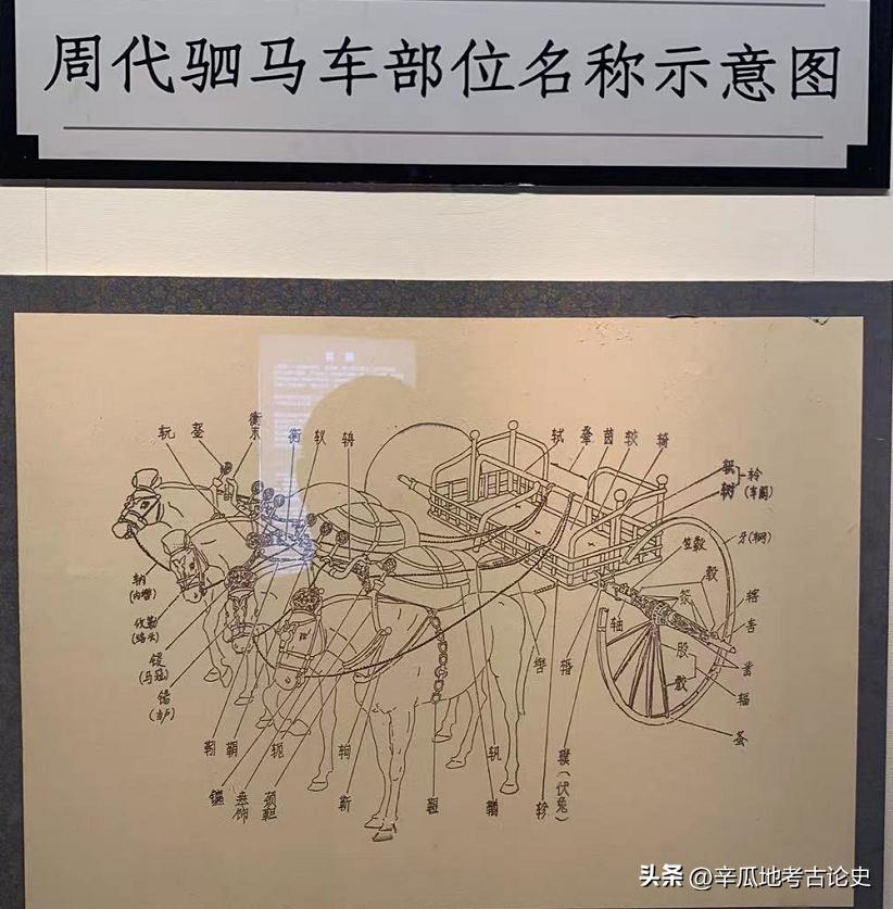 河南车马博物馆,中国古车马馆