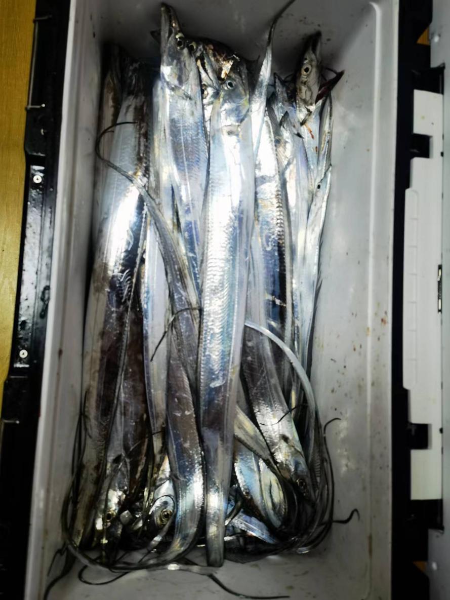 深入研究了青岛海鲜市场后，我重新理解了可持续的食物系统