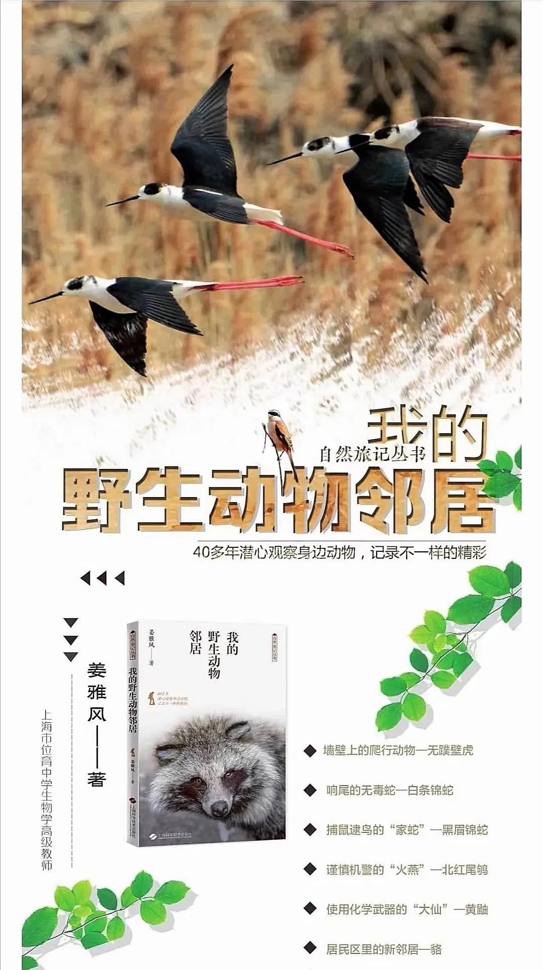 乌龟吃香蕉有助于排便吗,乌龟吃香蕉有什么好处